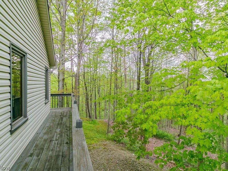11530 Blackberry Lane, Chesterland, OH 44026 Photo 44
