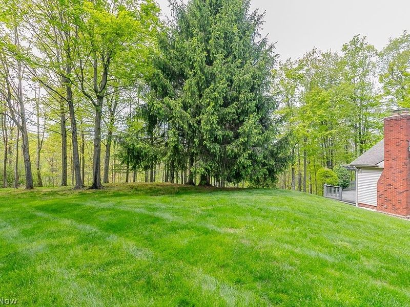 11530 Blackberry Lane, Chesterland, OH 44026 Photo 50