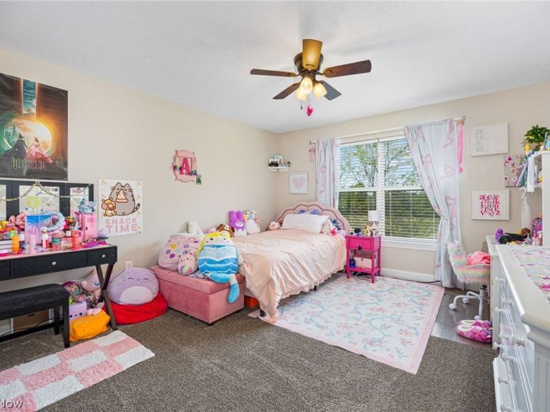 310 Edenmore Street, Wadsworth, OH 44281 Photo 37