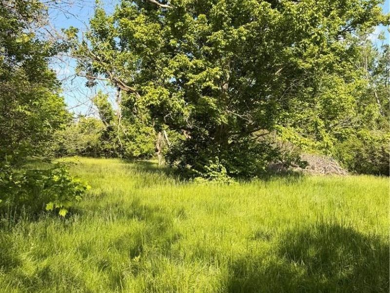 1237 S Diamond Mill Road, Jackson Township, OH 45345 Photo 3