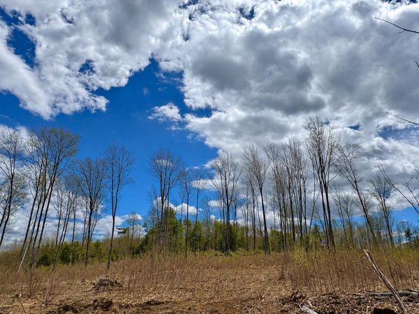 Lot #11 Jordan Heights Road , Cornish, ME 04020