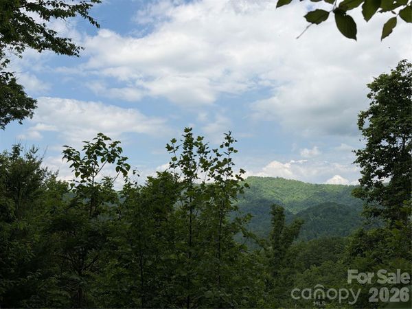 408 Arvil Gosnell Road , Marshall, NC 28753