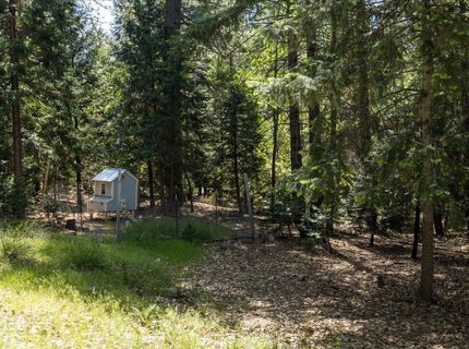 5315 Wildberry Dr, Grizzly Flats, CA 95636 Photo