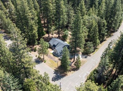 5315 Wildberry Dr, Grizzly Flats, CA 95636 Photo