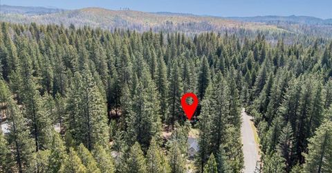 5315 Wildberry Dr, Grizzly Flats, CA 95636 Photo