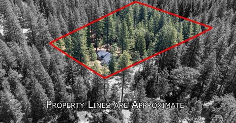 5315 Wildberry Dr, Grizzly Flats, CA 95636 Photo