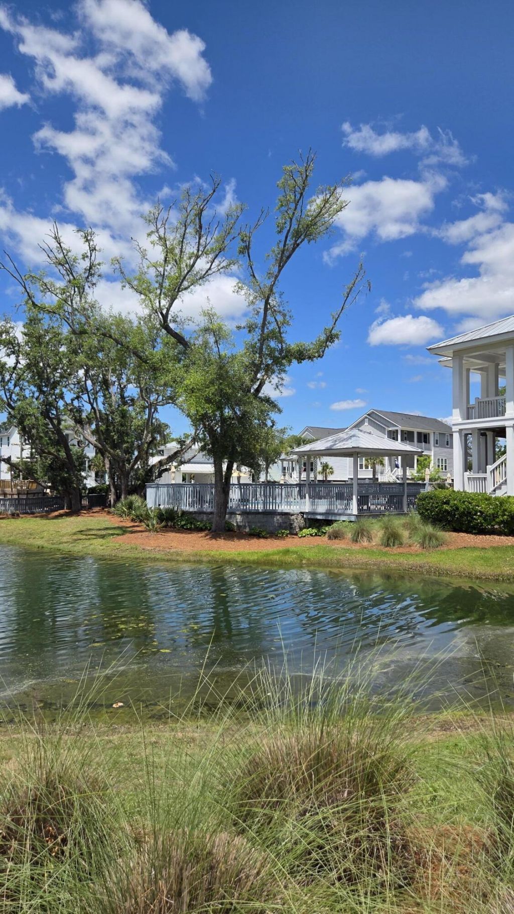 2318 Dorado Court Photo 68