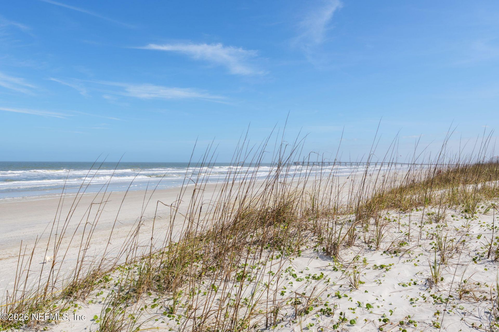 807 1st Street N, Unit 402, Jacksonville Beach, FL 32250 Photo
