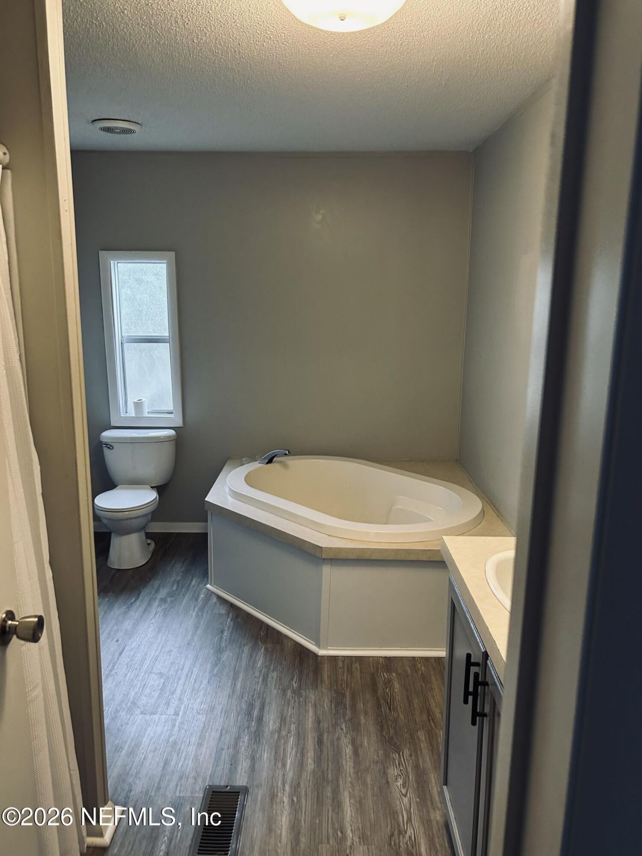 23197 Hassie Johns Road, Sanderson, FL 32087 Photo