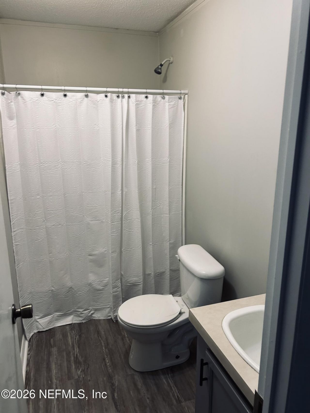 23197 Hassie Johns Road, Sanderson, FL 32087 Photo