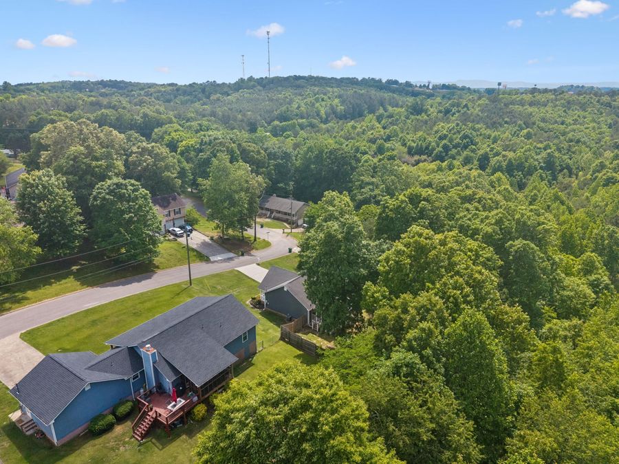 Property Image 45