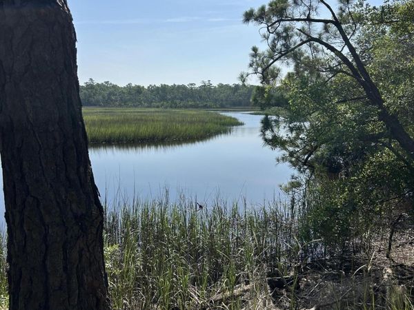 465 Jenkins Farm Road, Brunswick, GA 31523