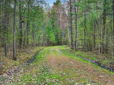 v/l E Pinecrest Drive, Gladwin, MI 48624
