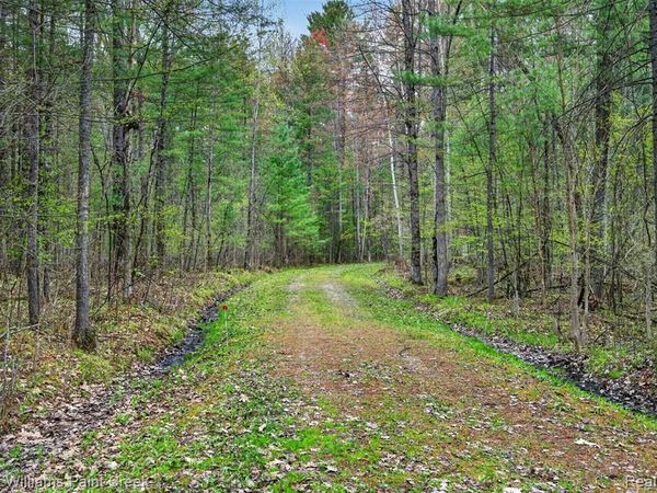 v/l E Pinecrest Drive, Gladwin, MI 48624