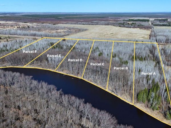 Lot A County Road 79 , Littlefork, MN 56653