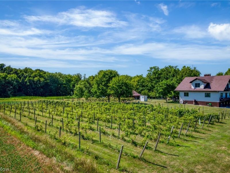 1841 Barnum Road, Geneva, OH 44041 Photo 9