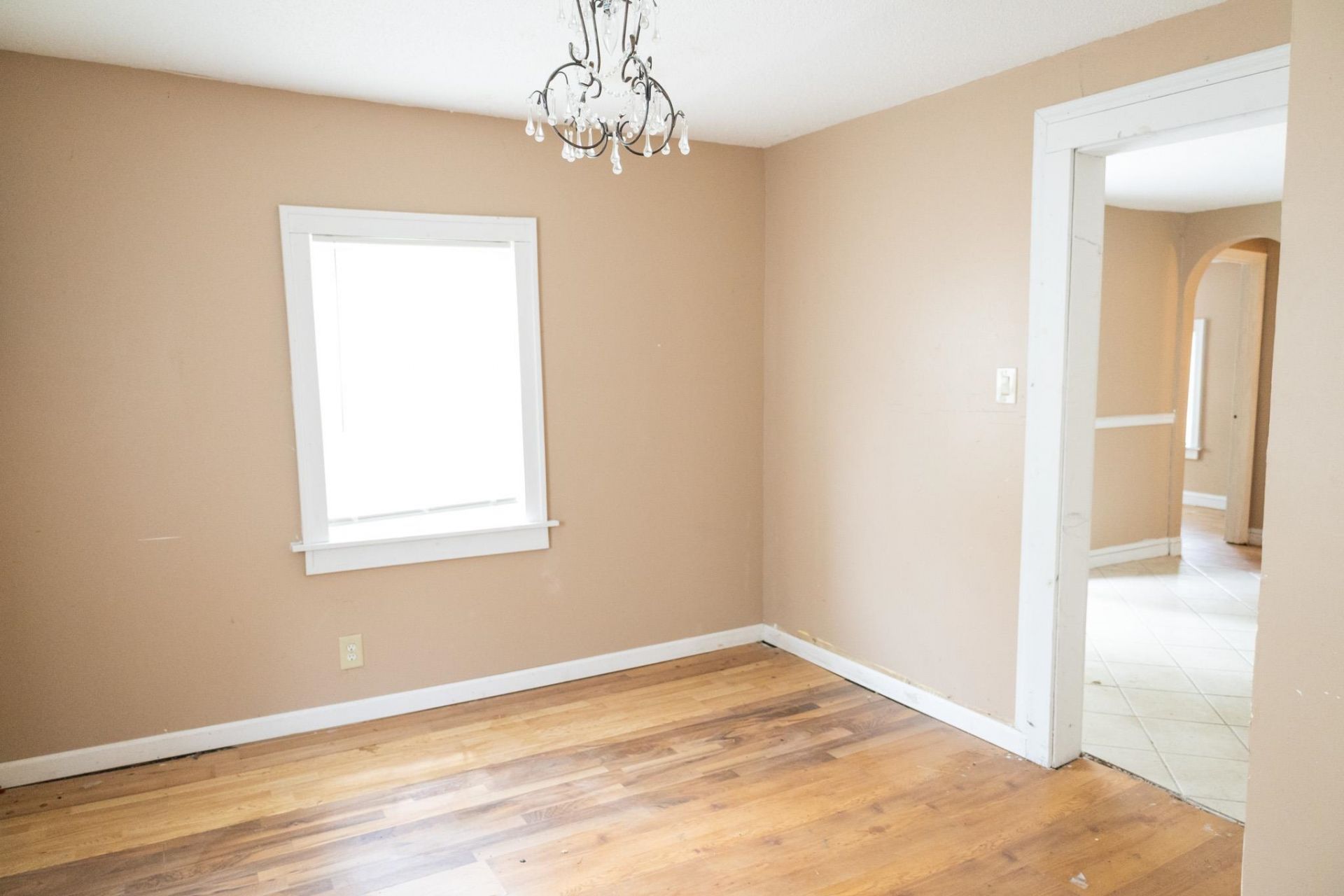 901 Palm St. Photo 16