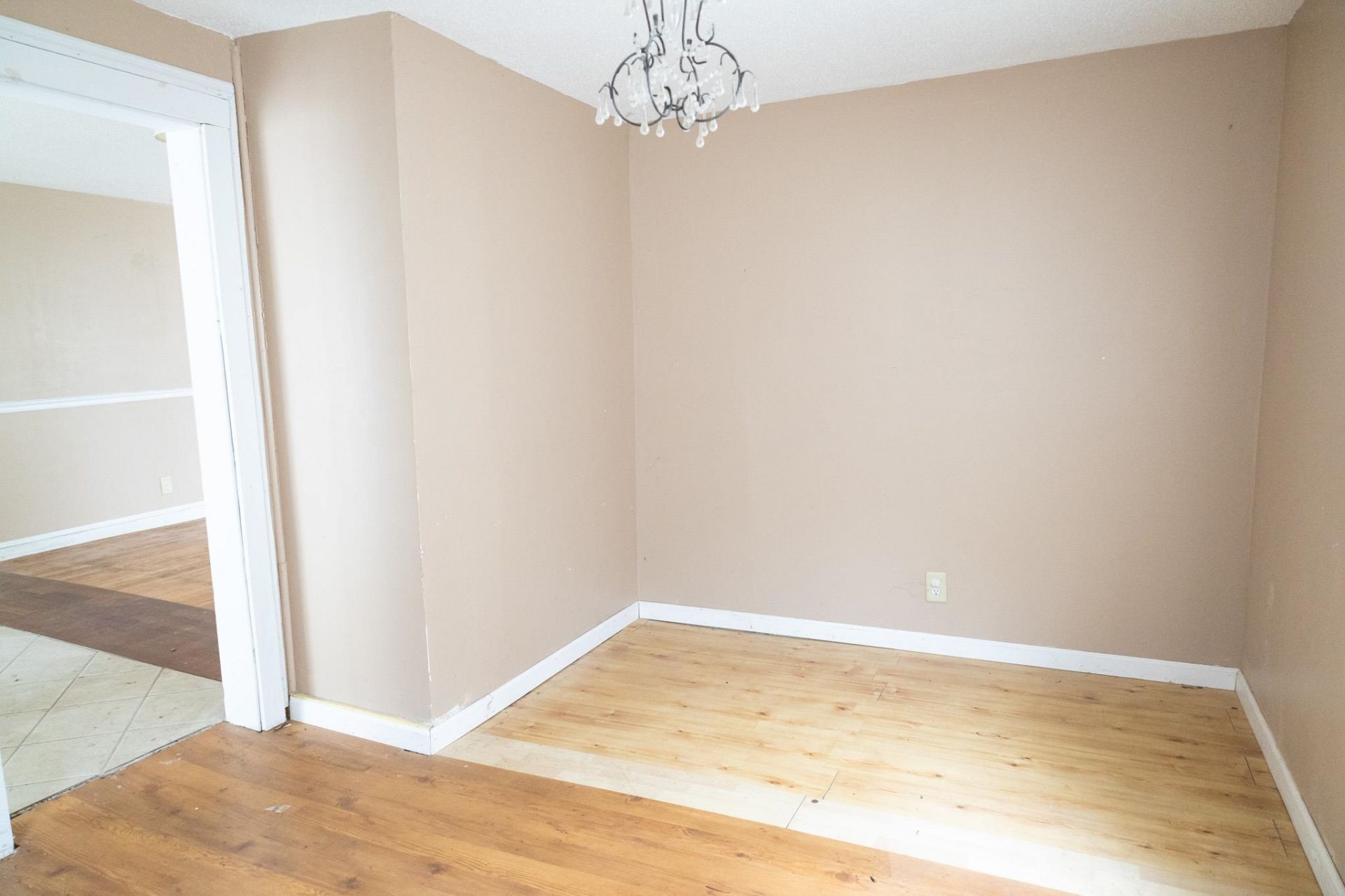 901 Palm St. Photo 18