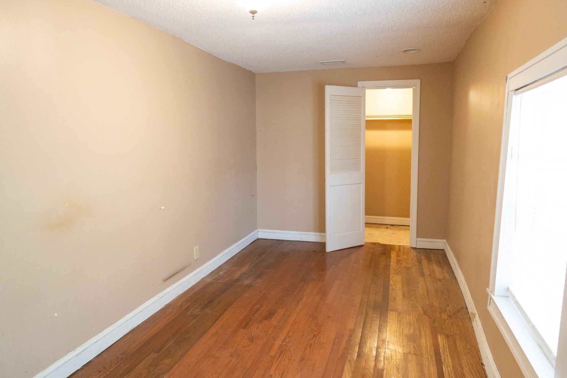 901 Palm St. Photo 21