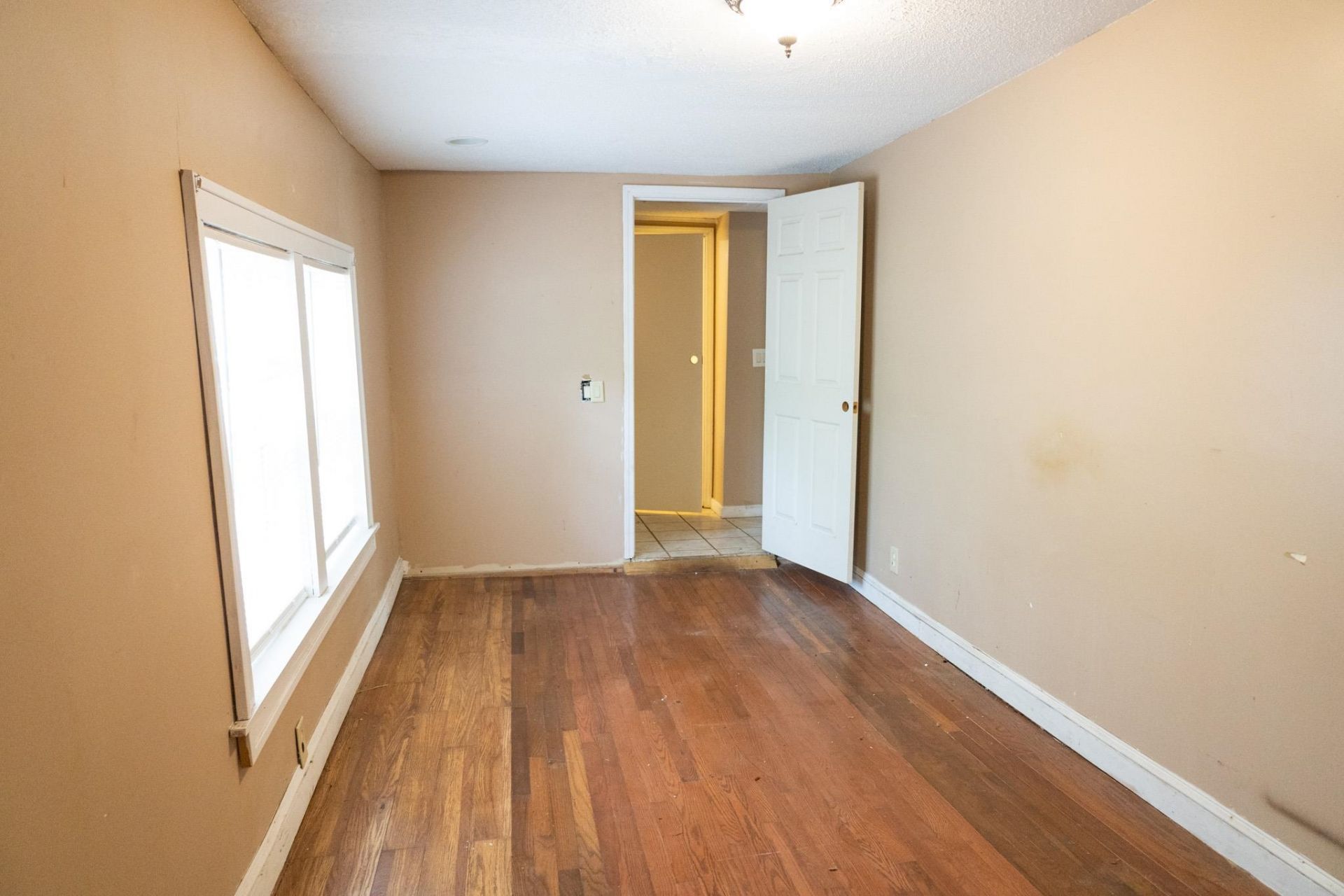 901 Palm St. Photo 22