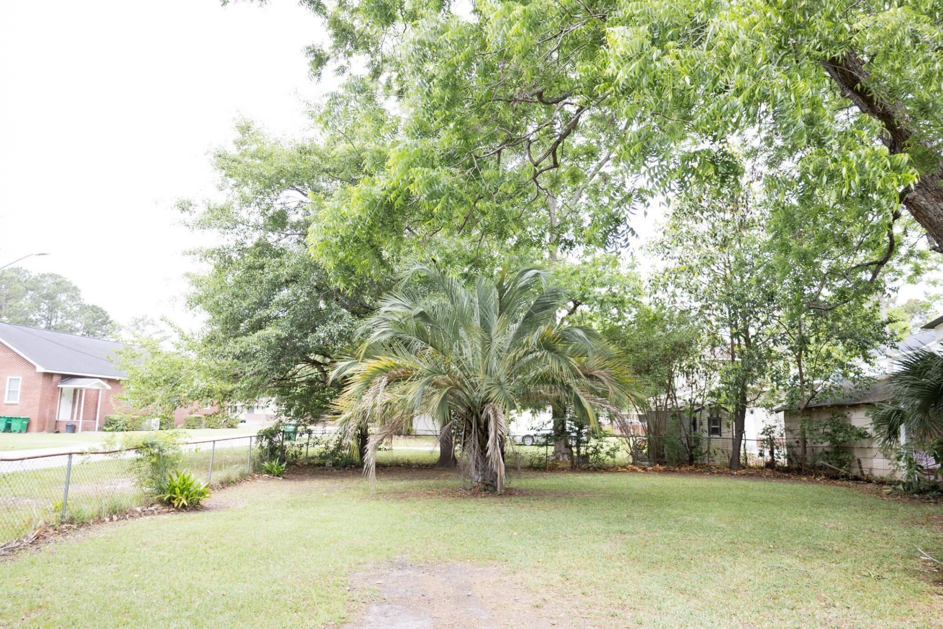 901 Palm St. Photo 4