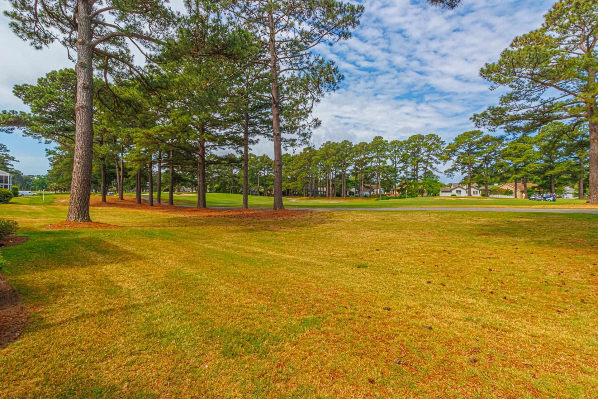 3847 Myrtle Pointe Dr. Photo 41