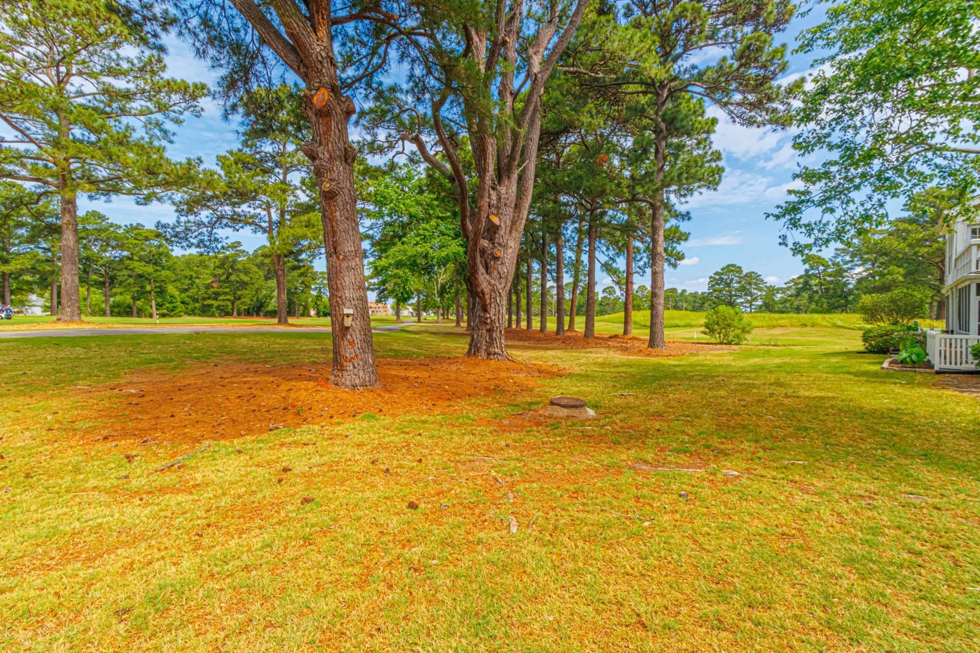 3847 Myrtle Pointe Dr. Photo 42