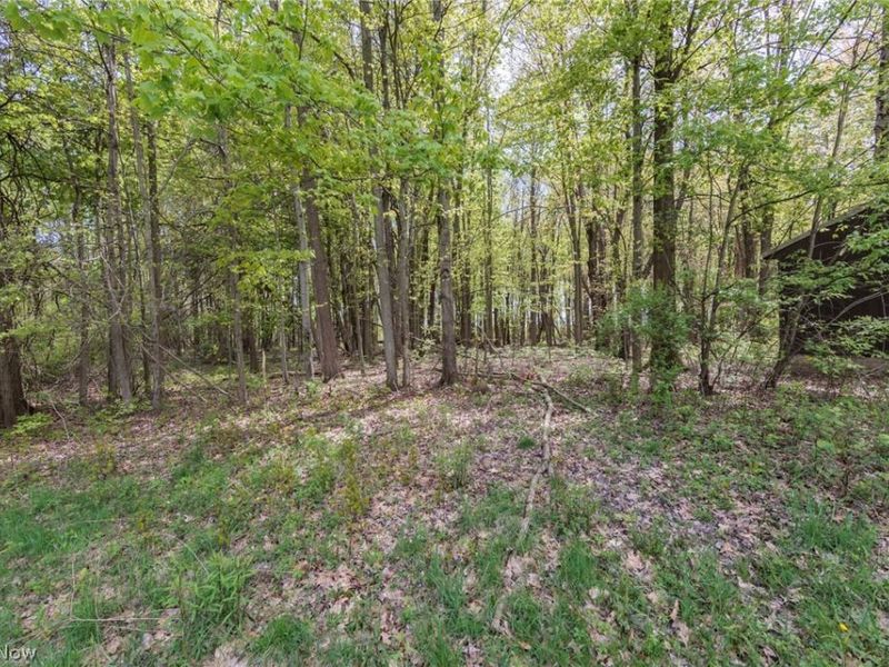 2170 Norton Road, Stow, OH 44224 Photo 20