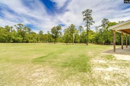 471 Mustang Road  photo 4