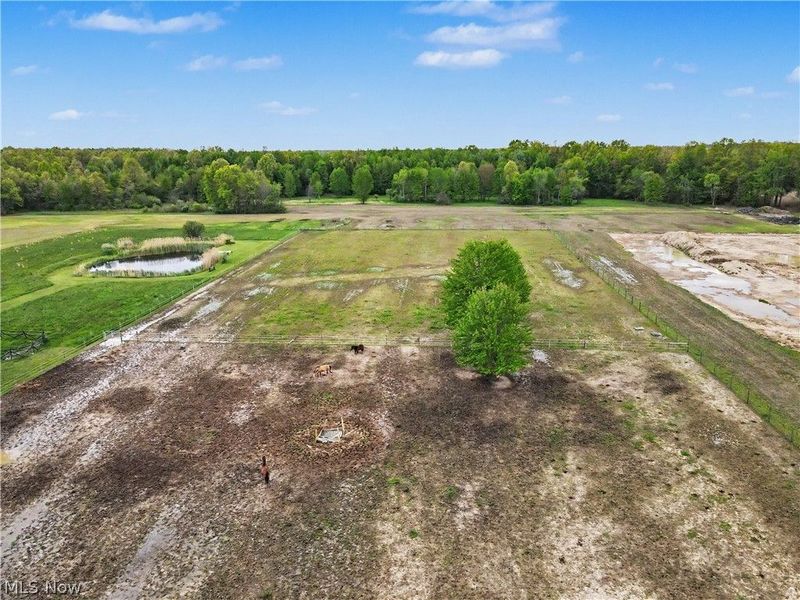 788 State Route 88 NE, Bristolville, OH 44402 Photo 48