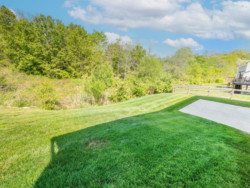 9964 Meadow Glen Drive, Independence, KY 41051 Photo 49