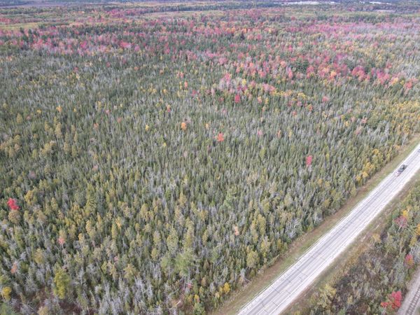 0 US 131, Kalkaska, MI 49646