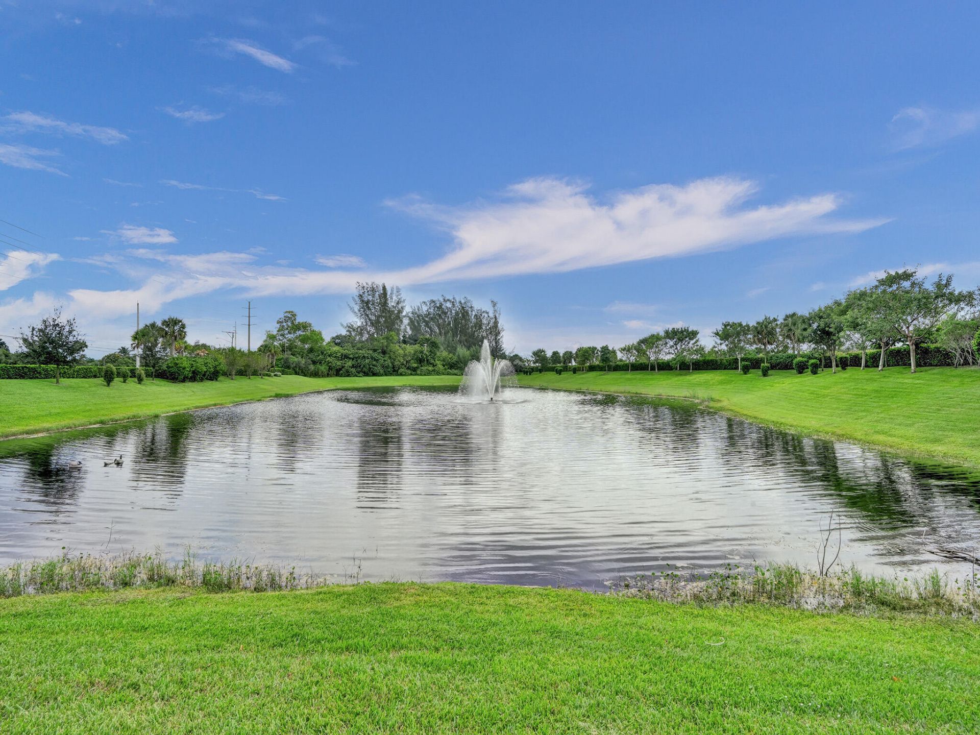 8334 W Blue Spring Drive, Unit 8334, Parkland, FL 33067 Photo