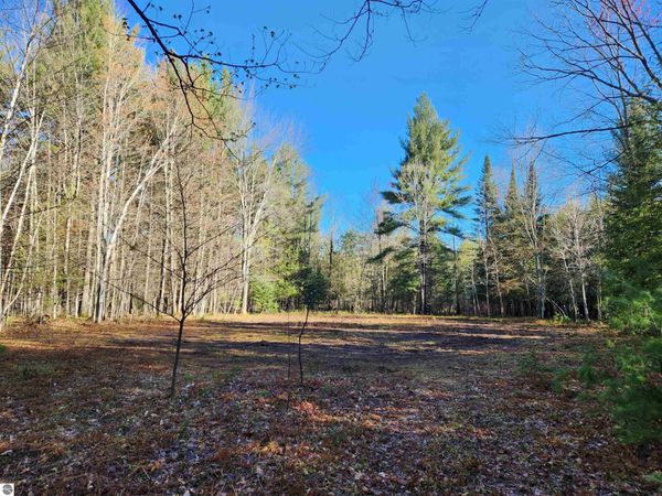 Adams Road, Kalkaska, MI 49646