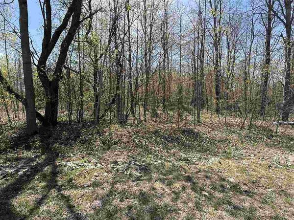 tbd WYNWOOD Drive, Unit 30 VALLEY, Mancelona, MI 49659