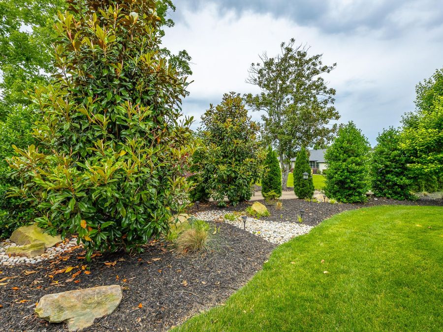 Property Image 54