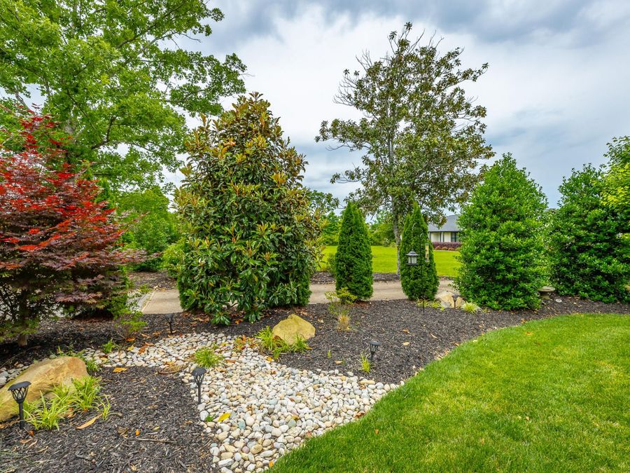 Property Image 55