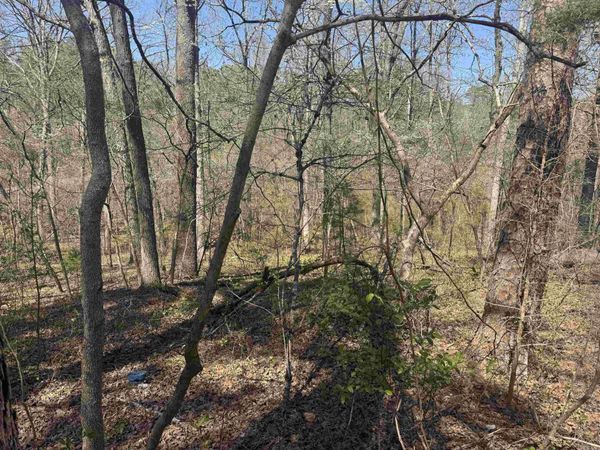 009-00062-000 HWY 177 , Salesville, AR 72653