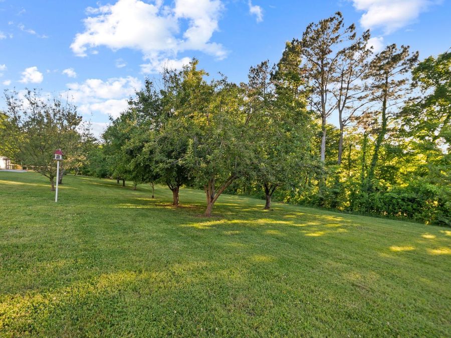 Property Image 72