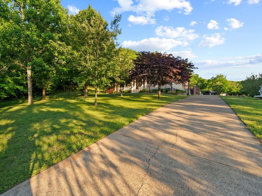 Property Image 88