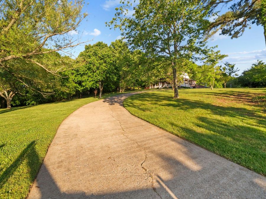 Property Image 89