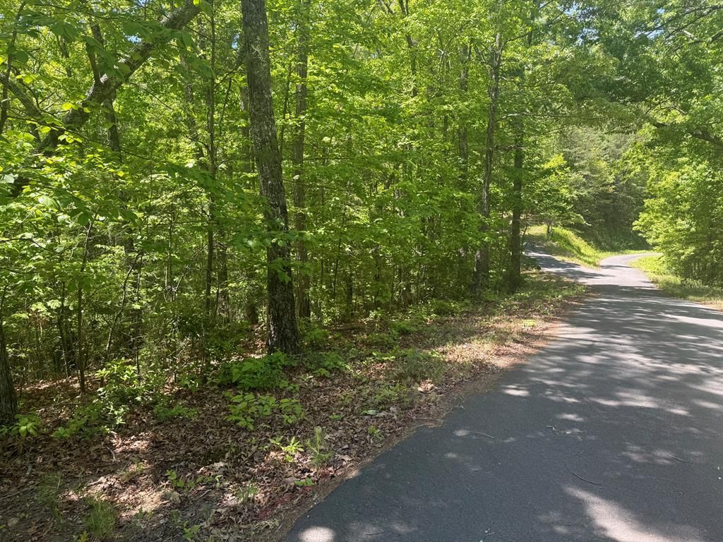 0 Hidden Lane, Murphy, NC 28906 Main Photo