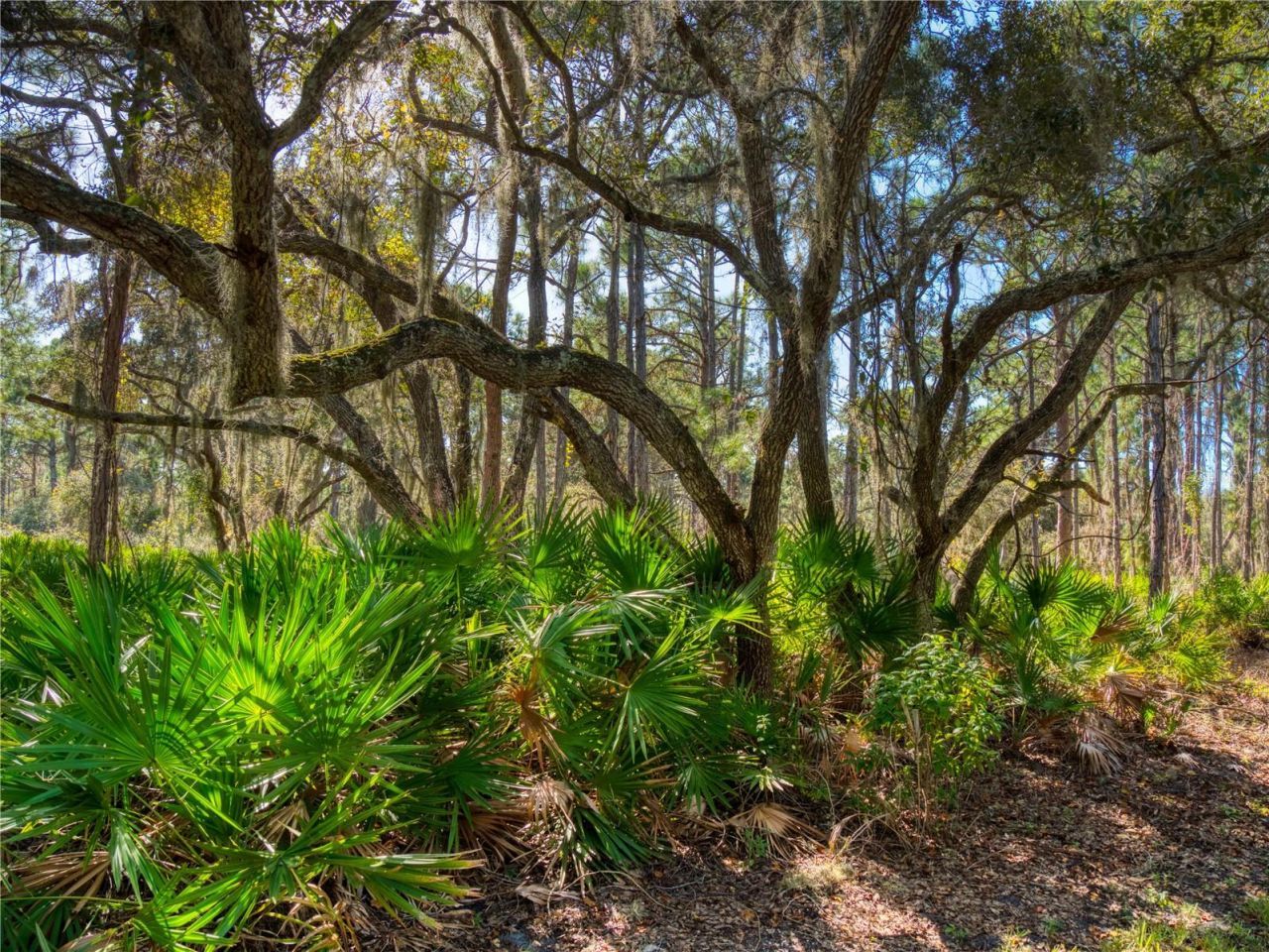 1711 Riverside Drive, Englewood, FL 34223 Photo