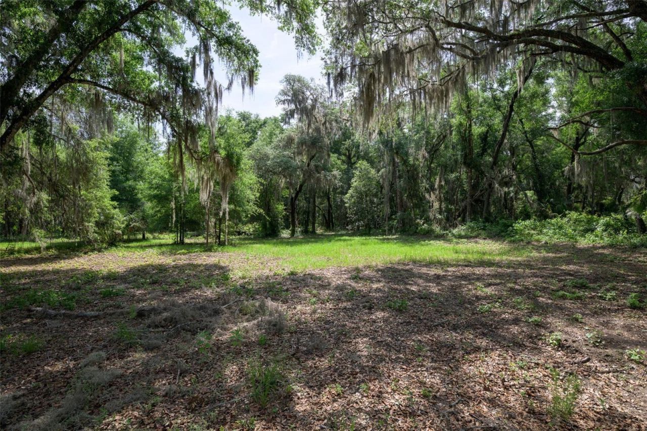 374 Sisco Road, Pomona Park, FL 32181 Photo
