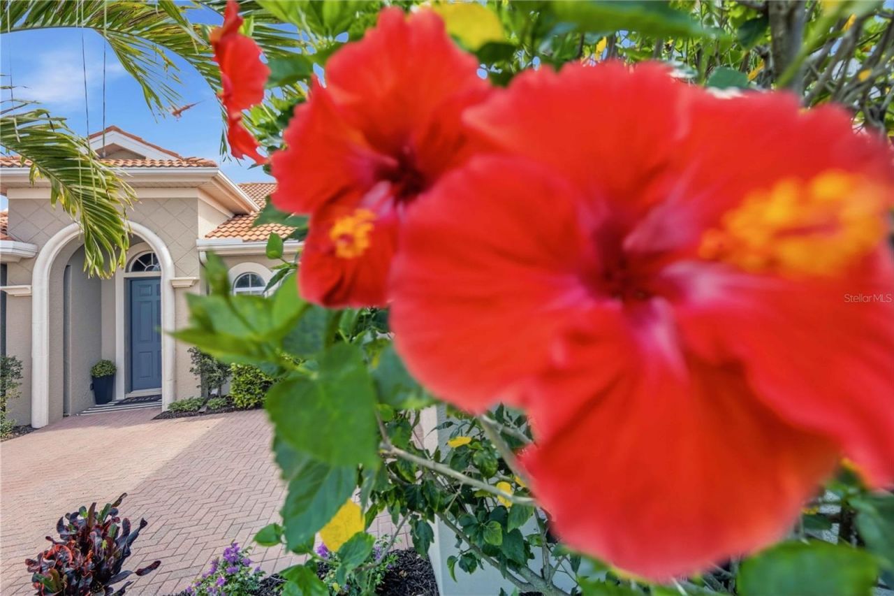 170 Montelluna Drive, North Venice, FL 34275 Photo