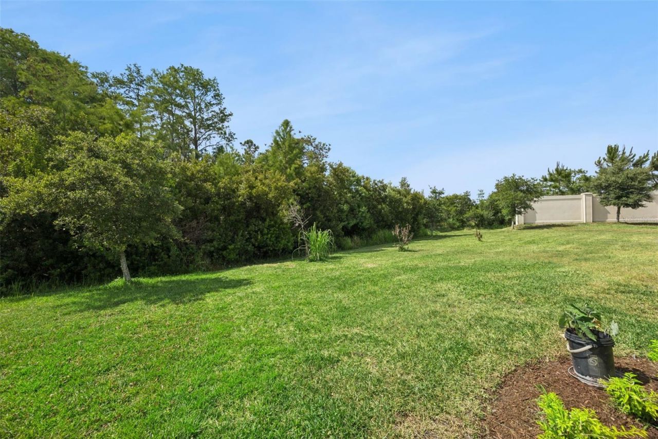 1168 Pando Loop , Orlando, FL 32824 Photo