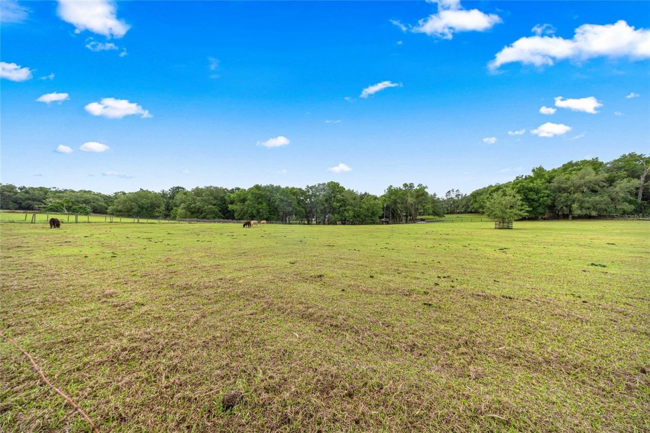 16248 SE Highway 42 , Weirsdale, FL 32195 Photo