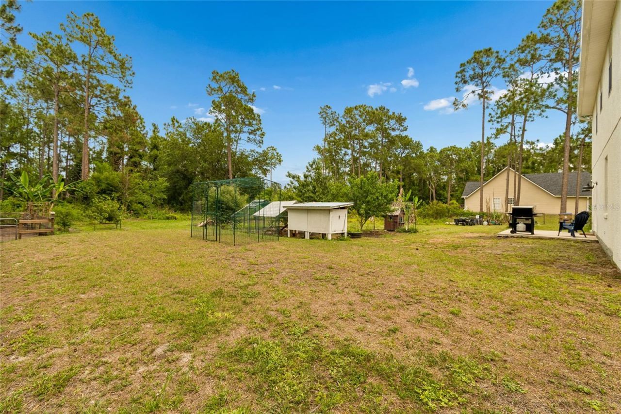 1925 Mustang Court, Saint Cloud, FL 34771 Photo