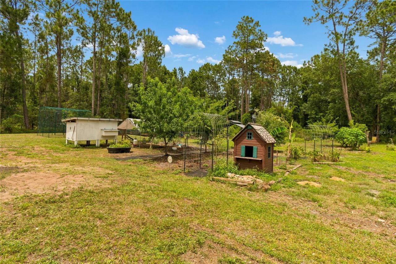 1925 Mustang Court, Saint Cloud, FL 34771 Photo
