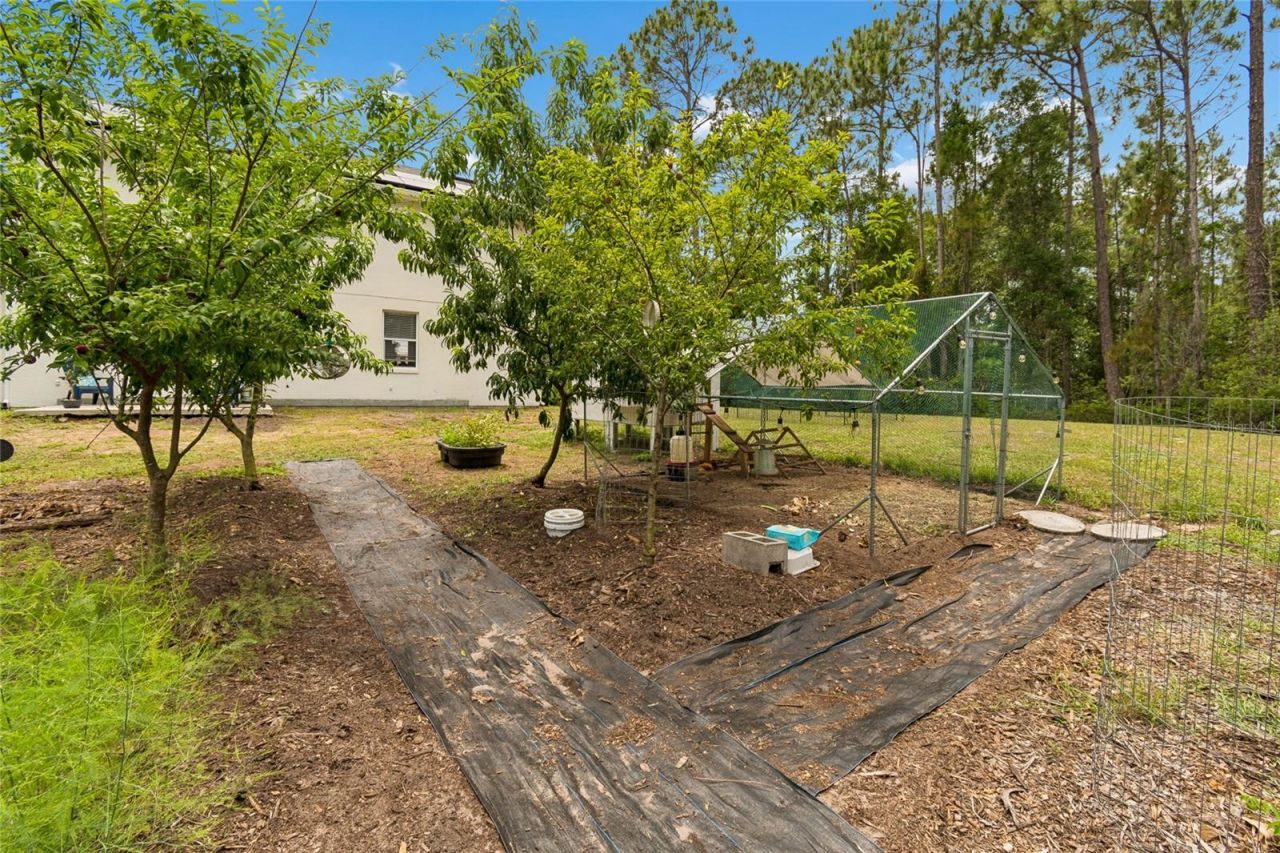 1925 Mustang Court, Saint Cloud, FL 34771 Photo